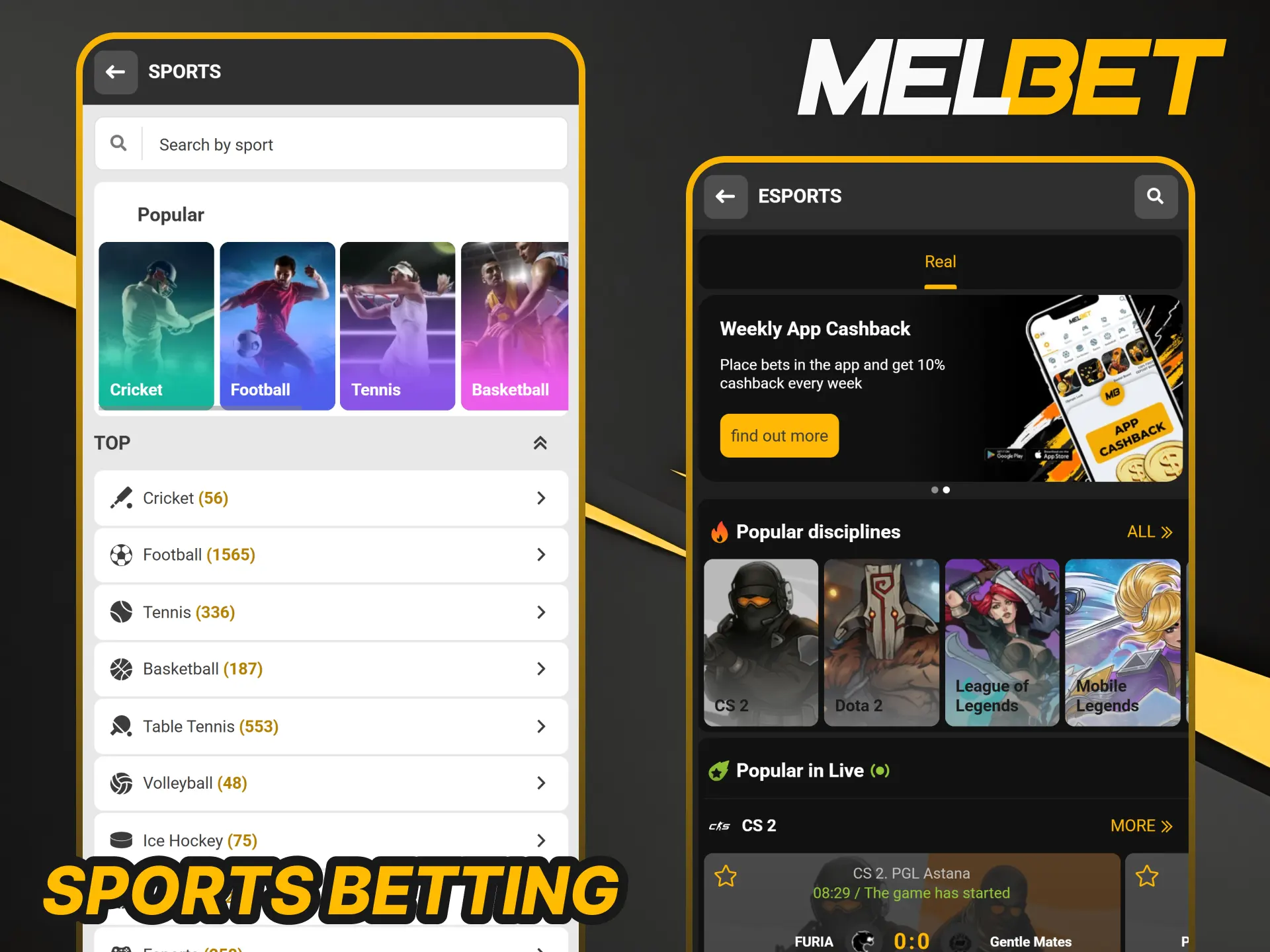 Discover diverse sports betting options in the Official Melbet App.