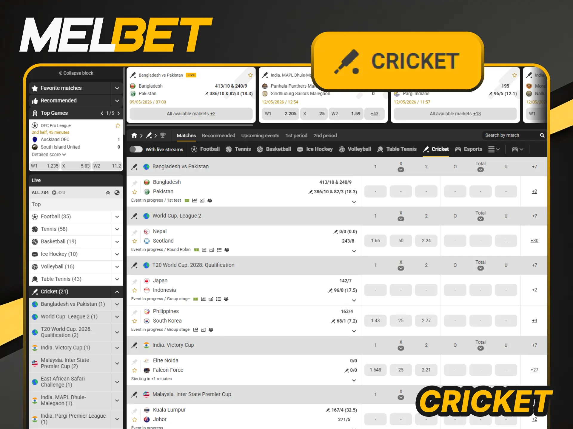 Bet on Cricket matches and follow live scores at Melbet.