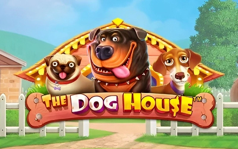 Play the fun The Dog House slot and win at Melbet.